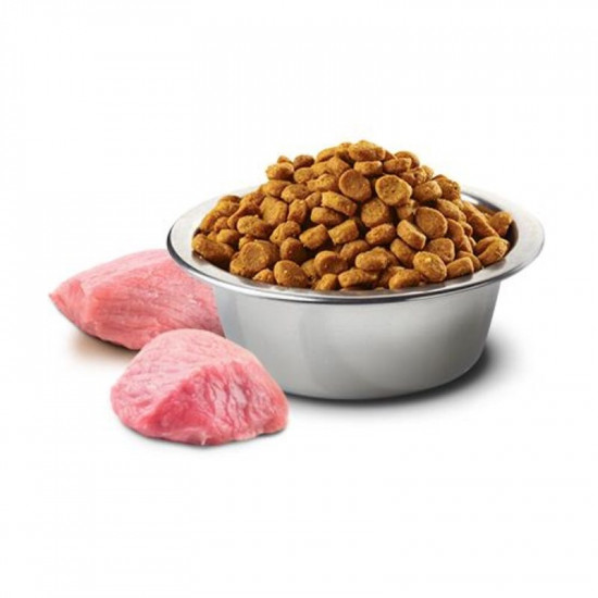 Farmina (Pharmina) N&D Pumpkin GF Lamb & Blueberry Puppy Mini – Bezzernova a dry feed with a lamb, pumpkin and bilberry for puppies of small breeds Farmina (Pharmina) N&D Pumpkin GF Lamb & Blueberry Puppy Mini – Bezzernova a dry feed with a lamb, pumpkin and bilberry for puppies of small breeds