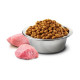 Farmina (Pharmina) N&D Pumpkin GF Lamb & Blueberry Puppy Mini – Bezzernova a dry feed with a lamb, pumpkin and bilberry for puppies of small breeds Farmina (Pharmina) N&D Pumpkin GF Lamb & Blueberry Puppy Mini – Bezzernova a dry feed with a lamb, pumpkin and bilberry for puppies of small breeds