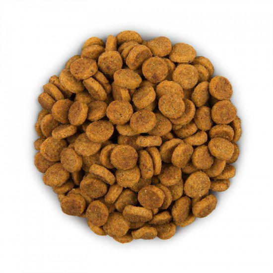Hill' s (Hills) of Prescription Diet i/d Digestive Care (ActivBiome+) - the Forage diet for dogs with chicken and innovative mix of prebiotic food fibers, maintenance of health of a GIT Hill' s (Hills) of Prescription Diet i/d Digestive Care (ActivBiome+) - the Forage diet for dogs with chicken and innovative mix of prebiotic food fibers, maintenance of health of a GIT