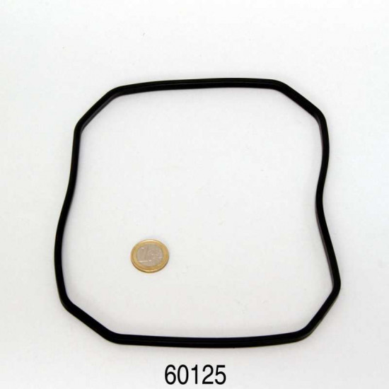 JBL (GBL) the Sealing gasket for CristalProfi filters e700/e900/e1500 JBL (GBL) the Sealing gasket for CristalProfi filters e700/e900/e1500