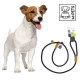 M-Pets (M-Pets) Dog Collar Leash – A lead stranglehold for dogs of the average size M-Pets (M-Pets) Dog Collar Leash – A lead stranglehold for dogs of the average size