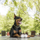 M-Pets (М-Петс) Play Dog Bloom Ball Mixed color - М'яч Блум різнокольоровий для собак M-Pets (М-Петс) Play Dog Bloom Ball Mixed color - М'яч Блум різнокольоровий для собак