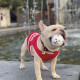 M-Pets (М-Петс) Play Dog Bloom Ball Mixed color - М'яч Блум різнокольоровий для собак M-Pets (М-Петс) Play Dog Bloom Ball Mixed color - М'яч Блум різнокольоровий для собак