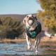 M-Pets (М-Петс) Play Dog Bloom Ball Mixed color - М'яч Блум різнокольоровий для собак M-Pets (М-Петс) Play Dog Bloom Ball Mixed color - М'яч Блум різнокольоровий для собак