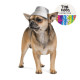 Pet Fashion (Pat Feshn) The Mood Party - Panama for dogs winter (gray) Pet Fashion (Pat Feshn) The Mood Party - Panama for dogs winter (gray)