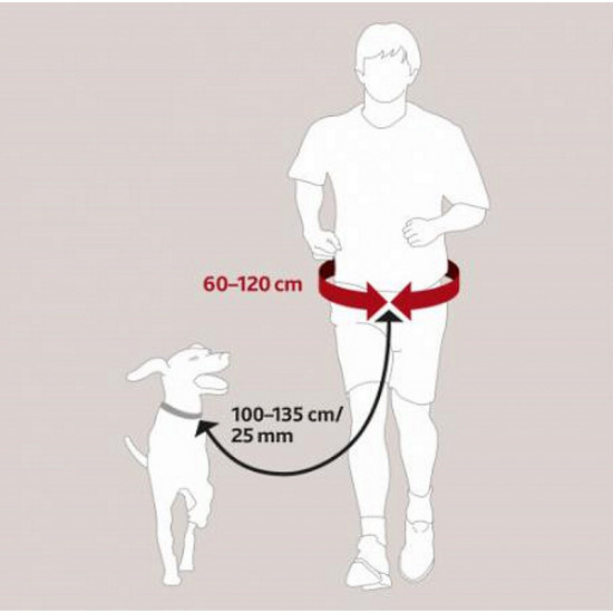 Trixie (Трикси) Waist Belt with Leash- Ремень поясной с поводком для собак Trixie (Трикси) Waist Belt with Leash- Ремень поясной с поводком для собак
