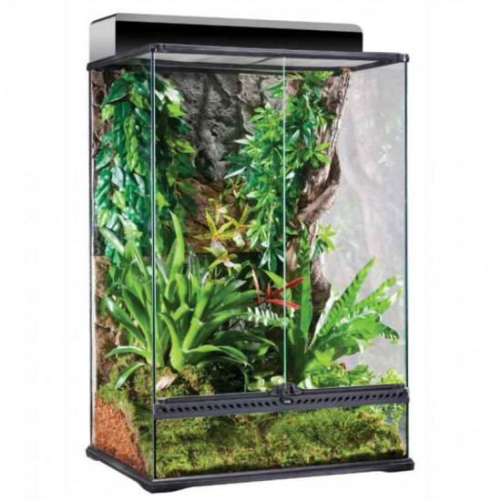 Exo Terra (Ekzo Terra) Terrarium Natural Medium X-Tall - A terrarium glass medium-to-high for reptiles Exo Terra (Ekzo Terra) Terrarium Natural Medium X-Tall - A terrarium glass medium-to-high for reptiles