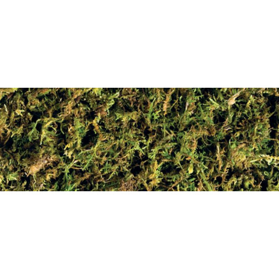 Exo Terra (Екзо Терра) Forest Moss - Наповнювач Лісовий мох для тераріуму Exo Terra (Екзо Терра) Forest Moss - Наповнювач Лісовий мох для тераріуму