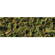 Exo Terra (Екзо Терра) Forest Moss - Наповнювач Лісовий мох для тераріуму Exo Terra (Екзо Терра) Forest Moss - Наповнювач Лісовий мох для тераріуму