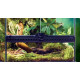Exo Terra (Экзо Терра) Rain Forest substrate - Наполнитель, смешанный субстрат для террариума Exo Terra (Экзо Терра) Rain Forest substrate - Наполнитель, смешанный субстрат для террариума