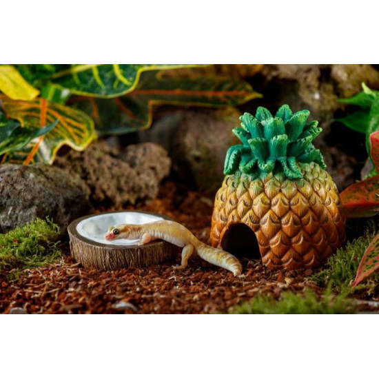 Exo Terra (Екзо Терра) Coconut Water Dish - Поїлка пластикова Кокос для рептилій Exo Terra (Екзо Терра) Coconut Water Dish - Поїлка пластикова Кокос для рептилій