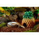 Exo Terra (Екзо Терра) Coconut Water Dish - Поїлка пластикова Кокос для рептилій Exo Terra (Екзо Терра) Coconut Water Dish - Поїлка пластикова Кокос для рептилій