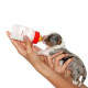 Royal Canin Puppy PRO Tech - Milk substitute for puppies (addition to colostrum) Royal Canin Puppy PRO Tech - Milk substitute for puppies (addition to colostrum)