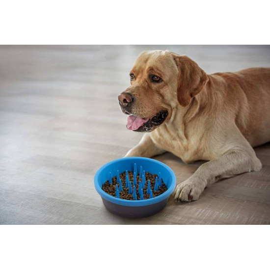 Dexas Slow Feeder Dog Bowl - Misk silicone for slow feeding for dogs Dexas Slow Feeder Dog Bowl - Misk silicone for slow feeding for dogs