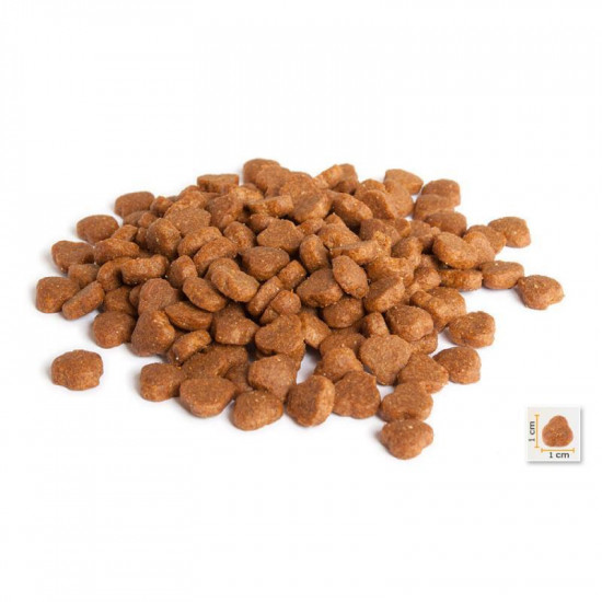 BonaCibo Adult Cat Lamb&Rice - A dry feed with meat of a lamb and rice for adult cats of all breeds with sensitive digestion BonaCibo Adult Cat Lamb&Rice - A dry feed with meat of a lamb and rice for adult cats of all breeds with sensitive digestion