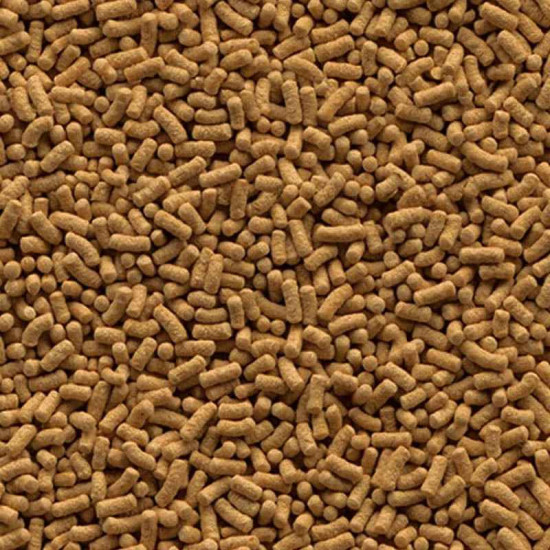 Tetra (Тетра) Pond Wheatgerm Sticks - Корм у вигляді паличок для харчування ставкових риб в умовах низьких температур восени та навесні Tetra (Тетра) Pond Wheatgerm Sticks - Корм у вигляді паличок для харчування ставкових риб в умовах низьких температур восени та навесні
