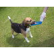 Savic Aqua Boy - A marching drinking bowl for dogs Savic Aqua Boy - A marching drinking bowl for dogs