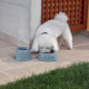 Stefanplast of Break 9 Cocker - Misk plastic for fluffy cats and dogs with trailing ears Stefanplast of Break 9 Cocker - Misk plastic for fluffy cats and dogs with trailing ears