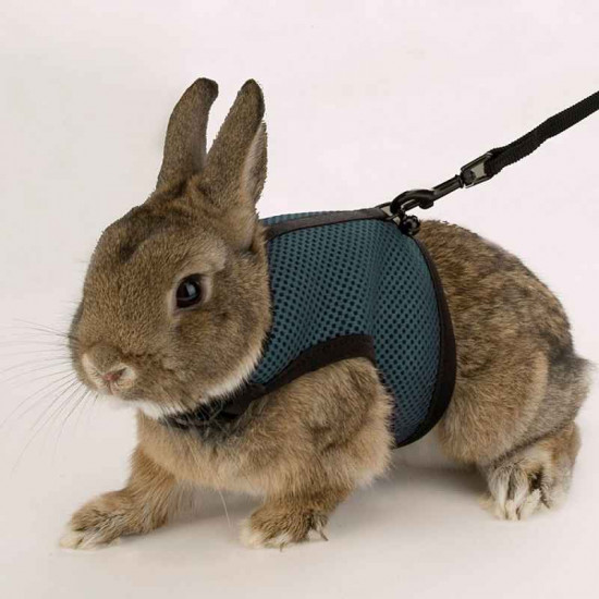 Ferplast of Jogging Extra Large - A breast-band with a lead for cats and rabbits Ferplast of Jogging Extra Large - A breast-band with a lead for cats and rabbits