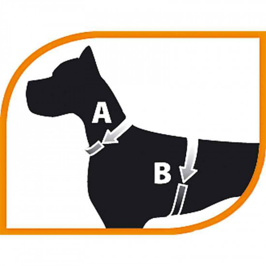 Ferplast of Jogging Extra Large - A breast-band with a lead for cats and rabbits Ferplast of Jogging Extra Large - A breast-band with a lead for cats and rabbits