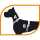 Ferplast of Jogging Extra Large - A breast-band with a lead for cats and rabbits Ferplast of Jogging Extra Large - A breast-band with a lead for cats and rabbits