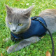 Ferplast of Jogging Extra Large - A breast-band with a lead for cats and rabbits Ferplast of Jogging Extra Large - A breast-band with a lead for cats and rabbits