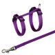 Trixie the Breast-band with a lead for kittens, without the drawing Trixie the Breast-band with a lead for kittens, without the drawing