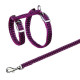 Trixie the Breast-band with a lead, reflective Trixie the Breast-band with a lead, reflective