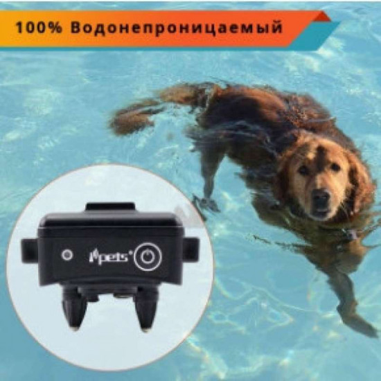 Petrainer iPets 619 - Elektroosheynik for dogs Petrainer iPets 619 - Elektroosheynik for dogs