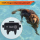 Petrainer iPets 619 - Elektroosheynik for dogs Petrainer iPets 619 - Elektroosheynik for dogs
