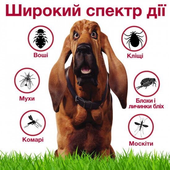 Advantix (Адвантікс) by Bayer Animal - Краплі від бліх та кліщів для собак (1 піпетка) Advantix (Адвантікс) by Bayer Animal - Краплі від бліх та кліщів для собак (1 піпетка)