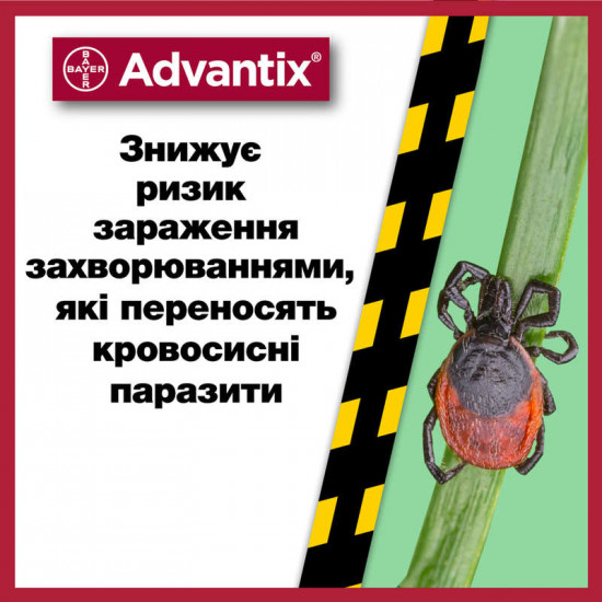 Advantix (Адвантікс) by Bayer Animal - Краплі від бліх та кліщів для собак (1 піпетка) Advantix (Адвантікс) by Bayer Animal - Краплі від бліх та кліщів для собак (1 піпетка)