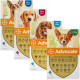Advocate by Bayer Animal - Antiparasitic drops for dogs from fleas, louses, pincers, helminths (1 pipette) Advocate by Bayer Animal - Antiparasitic drops for dogs from fleas, louses, pincers, helminths (1 pipette)