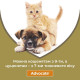 Advocate by Bayer Animal - Antiparasitic drops for dogs from fleas, louses, pincers, helminths (1 pipette) Advocate by Bayer Animal - Antiparasitic drops for dogs from fleas, louses, pincers, helminths (1 pipette)