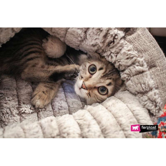 Ferplast of TUFLI - A sleeping lodge pocket for cats with a toy Ferplast of TUFLI - A sleeping lodge pocket for cats with a toy