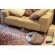 Ferplast of TUFLI - A sleeping lodge pocket for cats with a toy Ferplast of TUFLI - A sleeping lodge pocket for cats with a toy