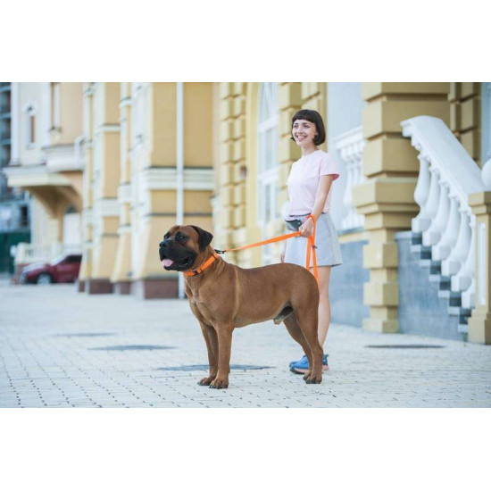 Collar (Коллар) EVOLUTOR - Поводок Collar (Коллар) EVOLUTOR - Поводок