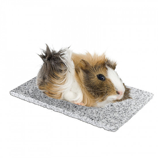 Ferplast of Granite Cooling – The cooling granite for rodents Ferplast of Granite Cooling – The cooling granite for rodents