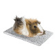 Ferplast of Granite Cooling – The cooling granite for rodents Ferplast of Granite Cooling – The cooling granite for rodents