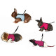 Trixie Soft Harness with Leash - A breast-band vest for rodents Trixie Soft Harness with Leash - A breast-band vest for rodents