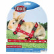 Trixie Rabbit Harness with Leash - A breast-band with a lead for rabbits with the drawing Trixie Rabbit Harness with Leash - A breast-band with a lead for rabbits with the drawing