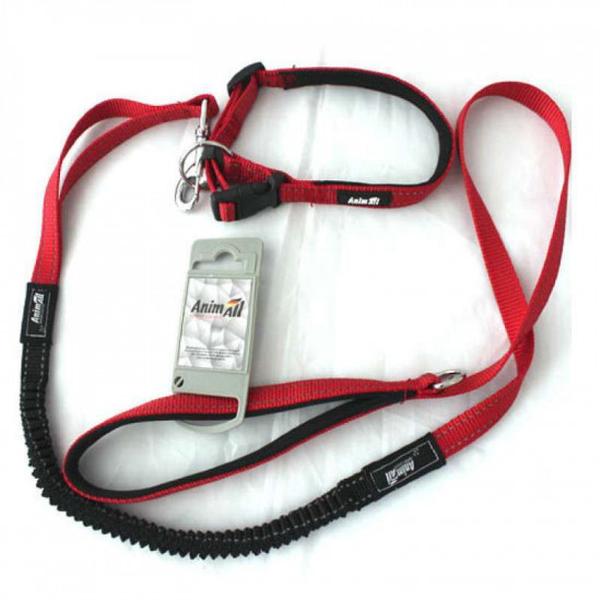 AnimAll (ЭнимАлл) HL-LH 148 - Комплект ошейник с поводком для собак AnimAll (ЭнимАлл) HL-LH 148 - Комплект ошейник с поводком для собак