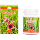 Dietary additive with anti-inflammatory action on joints of ENJEE (Enzhi) Sabelnik of a tablet on 0.5 g a bottle of 60 pieces Dietary additive with anti-inflammatory action on joints of ENJEE (Enzhi) Sabelnik of a tablet on 0.5 g a bottle of 60 pieces