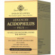 Atsidofilus Plus of SOLGAR (Solgar) of the capsule as additional source bifido and lactobacilli bottle of 60 pieces Atsidofilus Plus of SOLGAR (Solgar) of the capsule as additional source bifido and lactobacilli bottle of 60 pieces