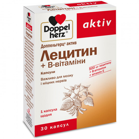 Capsules for a brain and strong nerves Doppelgerts Aktiv Lecithin and vitamin B the blister of 30 pieces Capsules for a brain and strong nerves Doppelgerts Aktiv Lecithin and vitamin B the blister of 30 pieces
