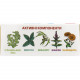 Gorlospas-tabs tablets of 20 pieces Gorlospas-tabs tablets of 20 pieces