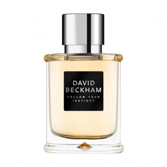 David Beckham Follow Your Instinct the Perfumed water of men's, 75 ml David Beckham Follow Your Instinct the Perfumed water of men's, 75 ml