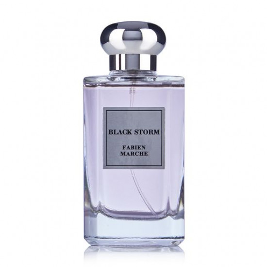 Fabien Marche Black Black Storm the Perfumed water of men's, 100 ml Fabien Marche Black Black Storm the Perfumed water of men's, 100 ml