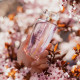 Mari Queen Garden Sweet Cherry Туалетна вода жіноча, 100 мл Mari Queen Garden Sweet Cherry Туалетна вода жіноча, 100 мл