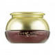 Anti-aging cream for the person Daandan Bit Boyun Firming Cream with stem cells, 50 ml Anti-aging cream for the person Daandan Bit Boyun Firming Cream with stem cells, 50 ml